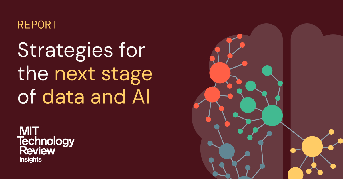 MIT and Databricks Report